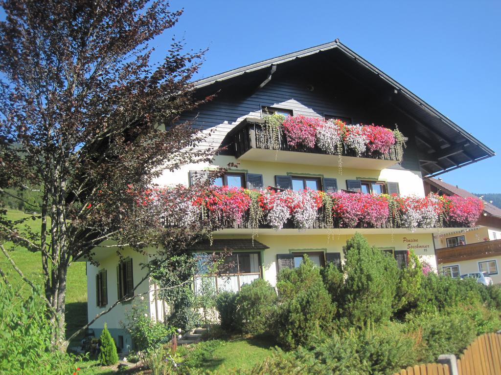 Pension Speckmoser Bad Mitterndorf Bagian luar foto