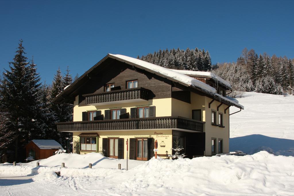 Pension Speckmoser Bad Mitterndorf Bagian luar foto