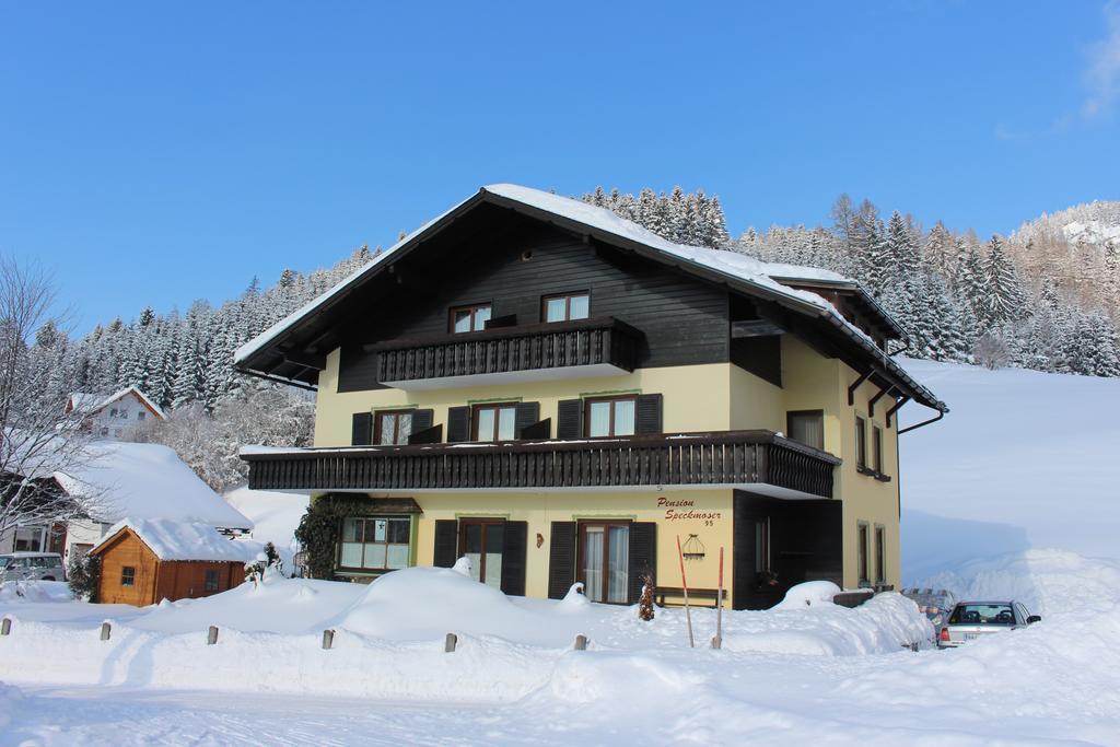 Pension Speckmoser Bad Mitterndorf Bagian luar foto