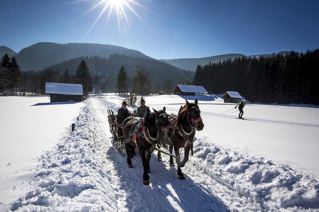 Pension Speckmoser Bad Mitterndorf Bagian luar foto