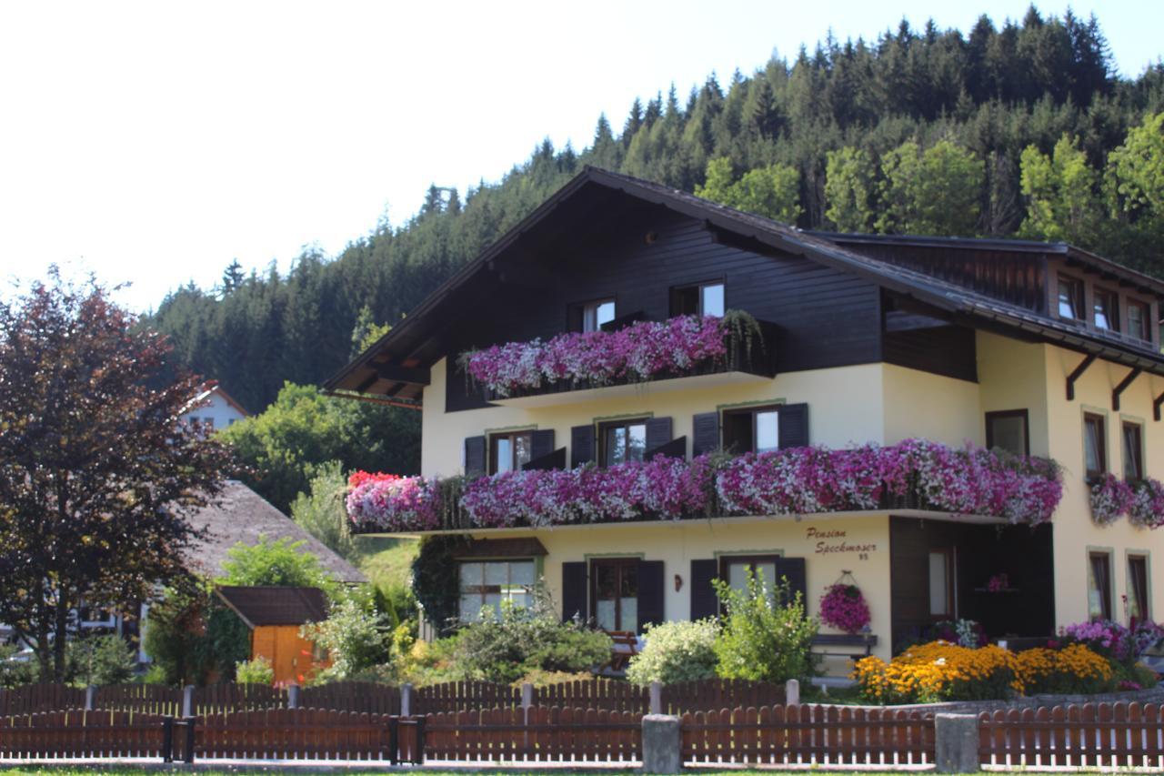 Pension Speckmoser Bad Mitterndorf Bagian luar foto