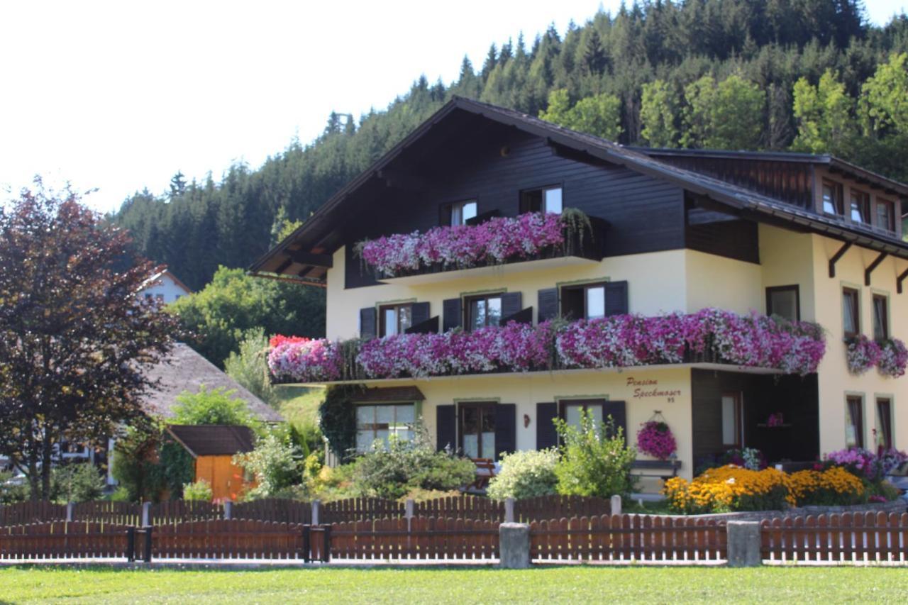 Pension Speckmoser Bad Mitterndorf Bagian luar foto