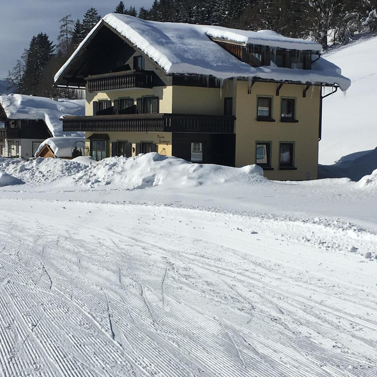 Pension Speckmoser Bad Mitterndorf Bagian luar foto